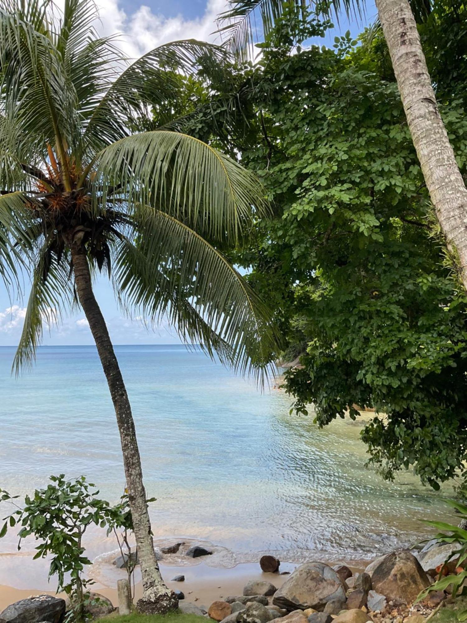 Kampong Ayer Batang Abc Chalet Tioman מראה חיצוני תמונה