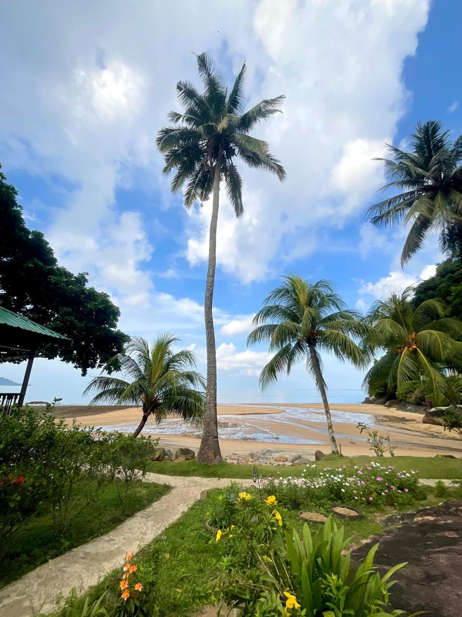Kampong Ayer Batang Abc Chalet Tioman מראה חיצוני תמונה