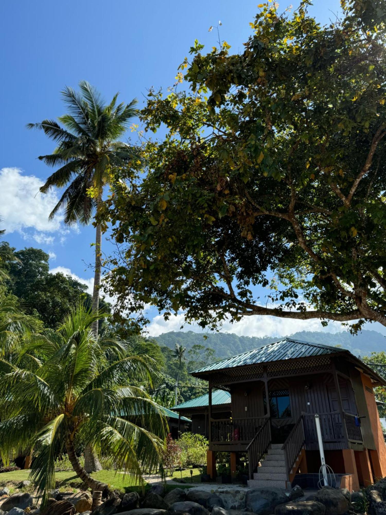 Kampong Ayer Batang Abc Chalet Tioman מראה חיצוני תמונה